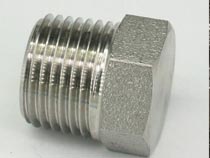 AISI 316 Forged Plug