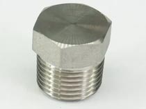 AISI 316L Forged Plug