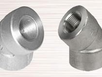 ASME SA 182 F310 Branch Fitting