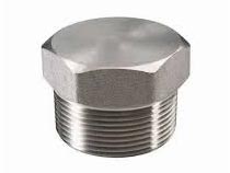 ASTM A182 SS Socket Weld Plug