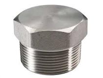 ASTM A182 UNS S32205 Socket Weld Plug