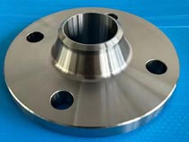 DN15-DN160 Forged RF FF Rtj Stainless Steel Wn Flange