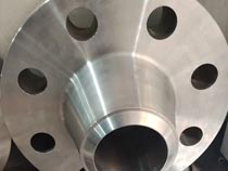 Duplex F51 Weld Neck Flanges