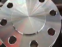 Hastelloy B2 Plate Flange 