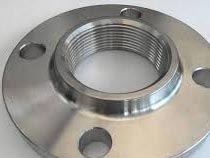 INOX 310 Threaded Flanges
