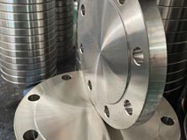 Monel Alloy Flanges 
