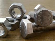 SS 304 Fasteners