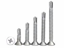 SS Self Drilling Screw