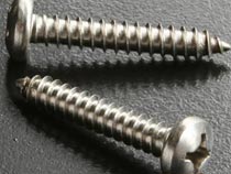 Stainless Steel Self Tapping Screws