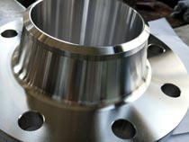 Stainless Steel Weld Neck Flange