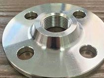 UNS N56400 Threaded Flanges