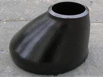 WP1 Alloy Steel Reducer

                                